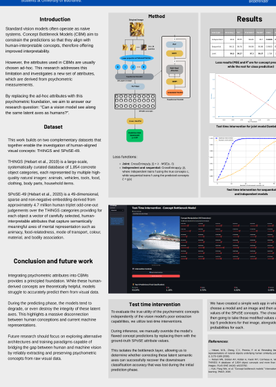 Bottleneck concepts Deep Learning FMI UNIBUC Teodor Lepadatu, Alexandru Pascaru.png