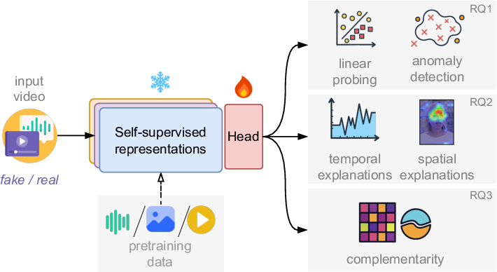 Teaser for Investigating self-supervised representations for audio-visual deepfake detection